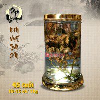 Bình sâm Ngọc Linh 45 năm tuổi loại 1kg 10 – 13 củ