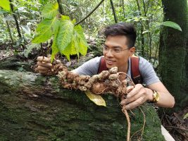 Chuyên Gia Đào Văn Quang 1 chuyen gia dao van quang