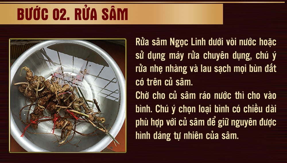 Rửa sâm ngọc linh
